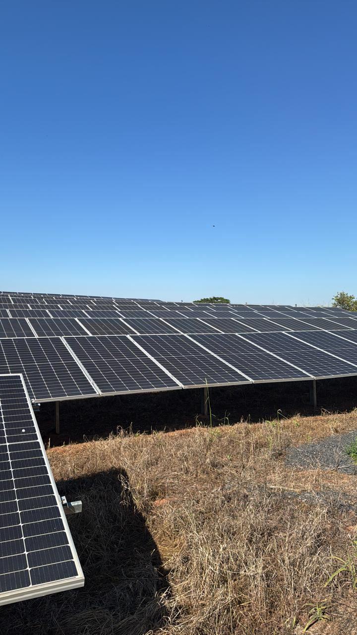 Fileiras de painéis solares alinhadas sob céu azul